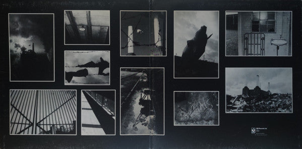 Animals